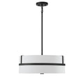 MERIDIAN, CONTEMPORARY TRADITIONAL PENDANT, PENDANT LIGHT