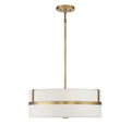 MERIDIAN, CONTEMPORARY TRADITIONAL PENDANT, PENDANT LIGHT