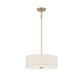 MERIDIAN, MODERN CONTEMPORARY PENDANT, PENDANT LIGHT