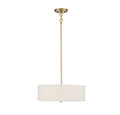 MERIDIAN, MODERN CONTEMPORARY PENDANT, PENDANT LIGHT
