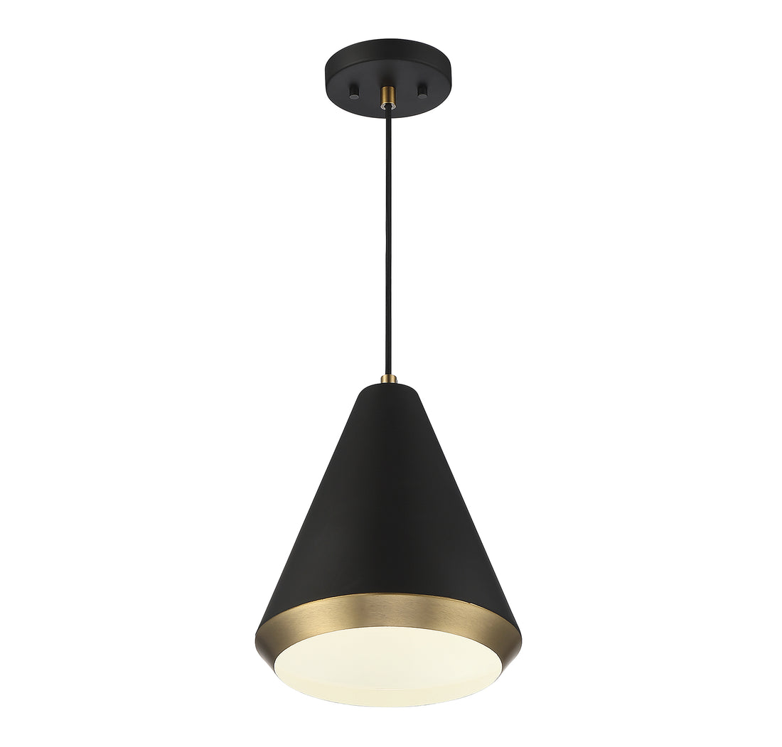 MERIDIAN, VINTAGE MID-CENTURY MODERN PENDANT, PENDANT LIGHT