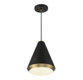 MERIDIAN, VINTAGE MID-CENTURY MODERN PENDANT, PENDANT LIGHT