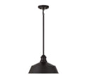 MERIDIAN, VINTAGE MODERN PENDANT, PENDANT LIGHT