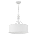 MERIDIAN, TRADITIONAL CONTEMPORARY PENDANT, PENDANT LIGHT