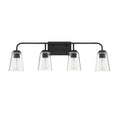 MERIDIAN, TRANSITIONAL BATH, BATH VANITY LIGHT