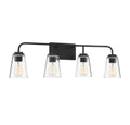 MERIDIAN, TRANSITIONAL BATH, BATH VANITY LIGHT