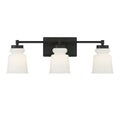 MERIDIAN, CONTEMPORARY TRANSITIONAL BATH, BATH VANITY LIGHT