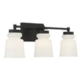 MERIDIAN, CONTEMPORARY TRANSITIONAL BATH, BATH VANITY LIGHT