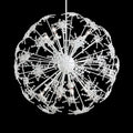 Schonbek, Esteracae Pendant, PENDANT LIGHT