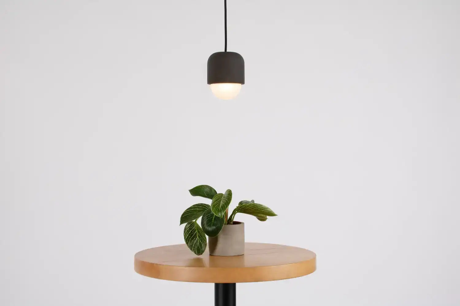 SEED DESIGN USA SG-1012P-BK 80bcc621-5e27-4a1e-9578-065a33a3cbb8