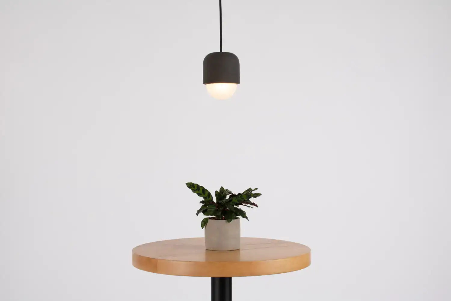 SEED DESIGN USA SG-1012P-BK a9c4ce7e-e978-4686-9870-52ddf3e4246b