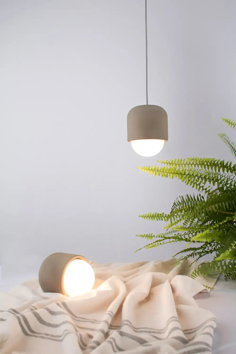 SEED DESIGN USA SG-1012P c6f850cc-3dbb-4a66-beda-d76ecab59bea