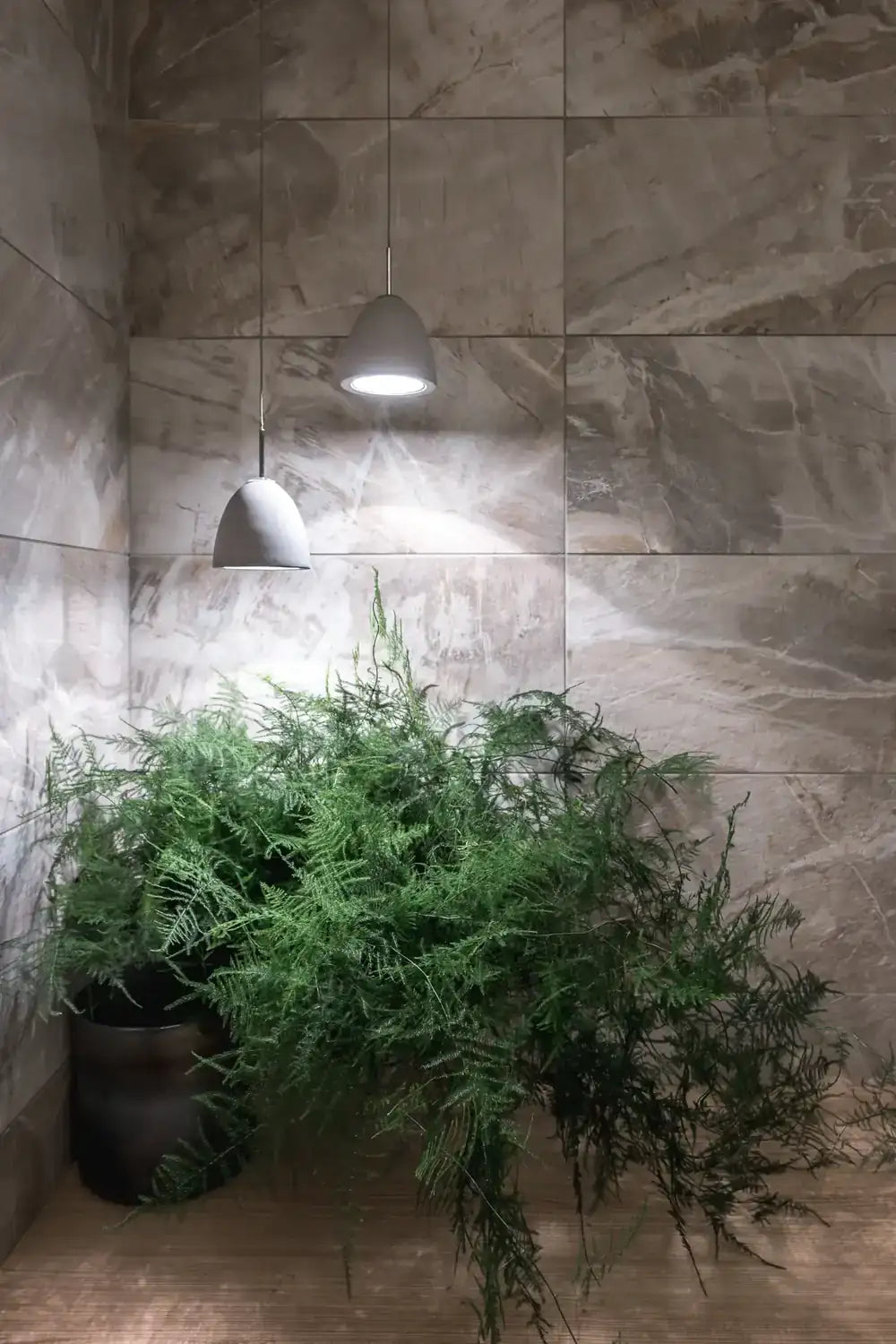 SEED DESIGN USA SG-623CP b341f130-5a07-48ef-92c8-aa3749f1ef0e