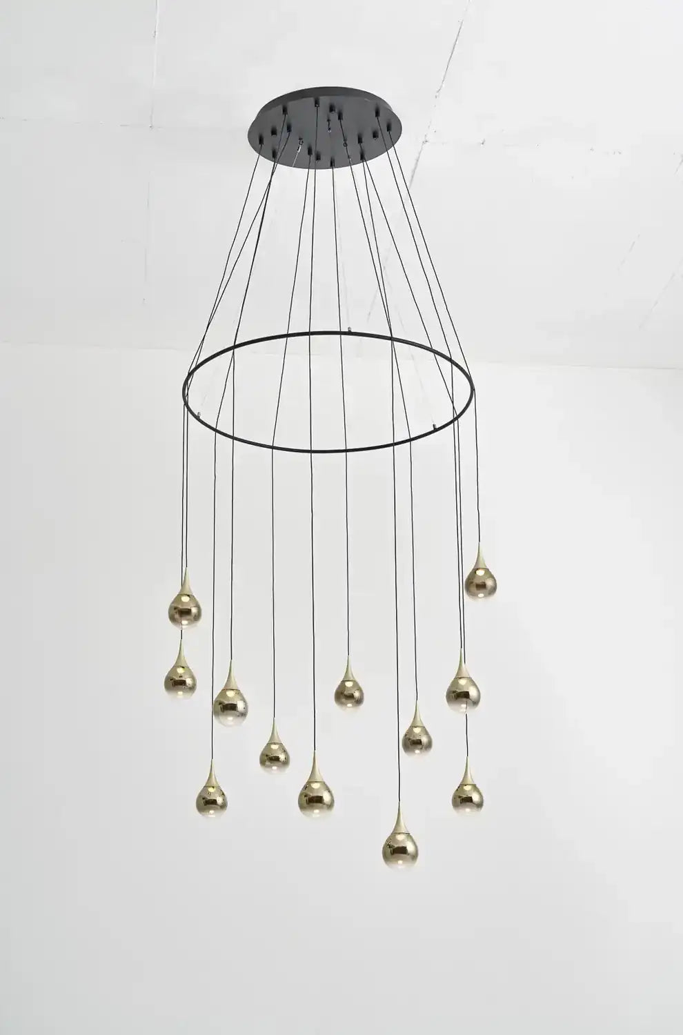 SEED DESIGN USA SLD-1013PC12-GLD 77cdbfc3-ac63-4173-b43f-6661279abe3c