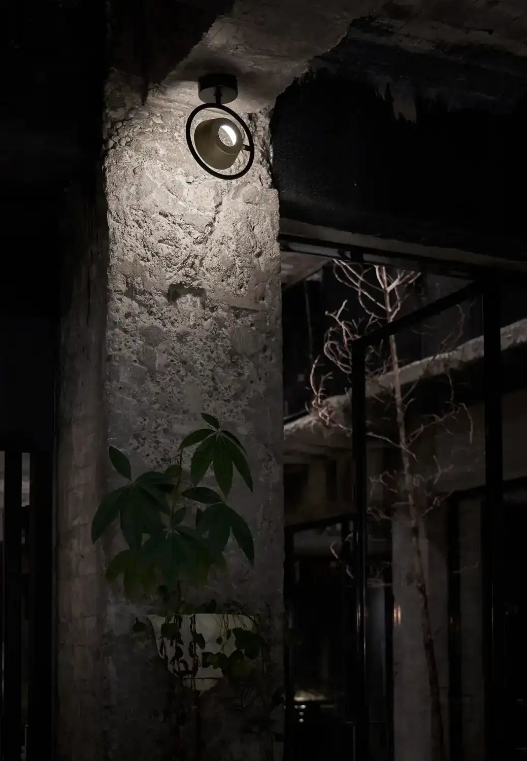 SEED DESIGN, OLO RING WALL OR CEILING, FLUSH MOUNT CEILING LIGHTS 