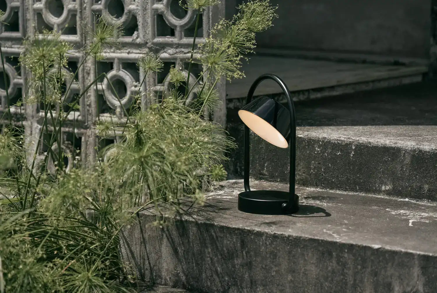 SEED DESIGN USA SLD-130DC-GLD 1e9ff252-504e-4697-bfe1-0b51795cd5de