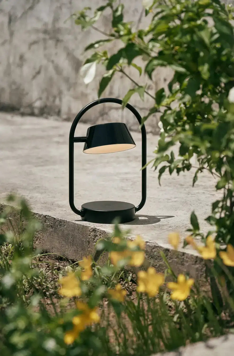 SEED DESIGN USA SLD-130DC-ORG 8065996f-a689-4fdf-942e-261d6932c68a