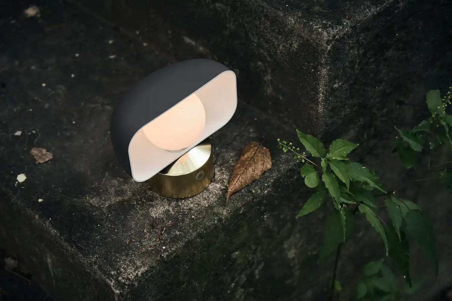 SEED DESIGN USA SLD-150DC-GLD 8e81105b-8ffc-4fe0-9739-7a5f0088dbda