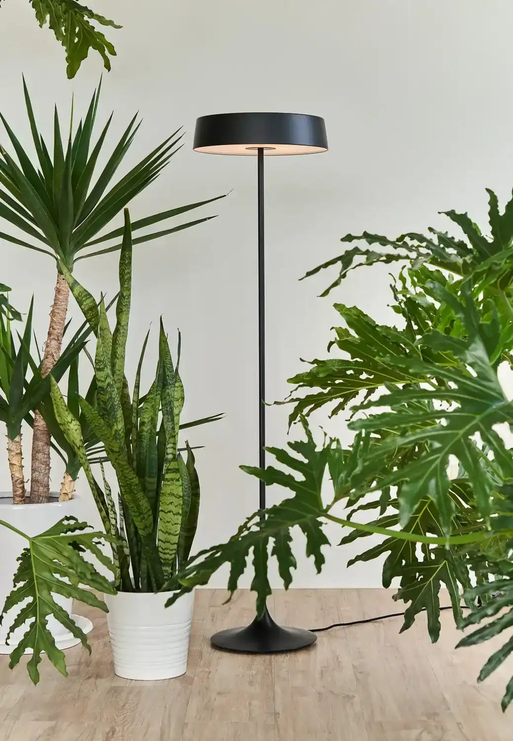 SEED DESIGN, CHINA LED FLOOR LAMP, FLOOR LAMP