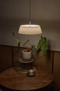 SEED DESIGN, HALO PENDANT, PENDANT LIGHT