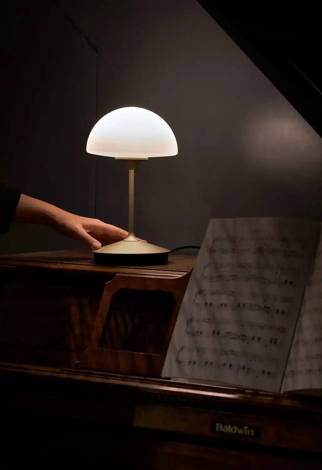 SEED DESIGN USA SLD-7992DJ-GLD 09d1513d-531c-4417-8b1a-7622b022d7b5