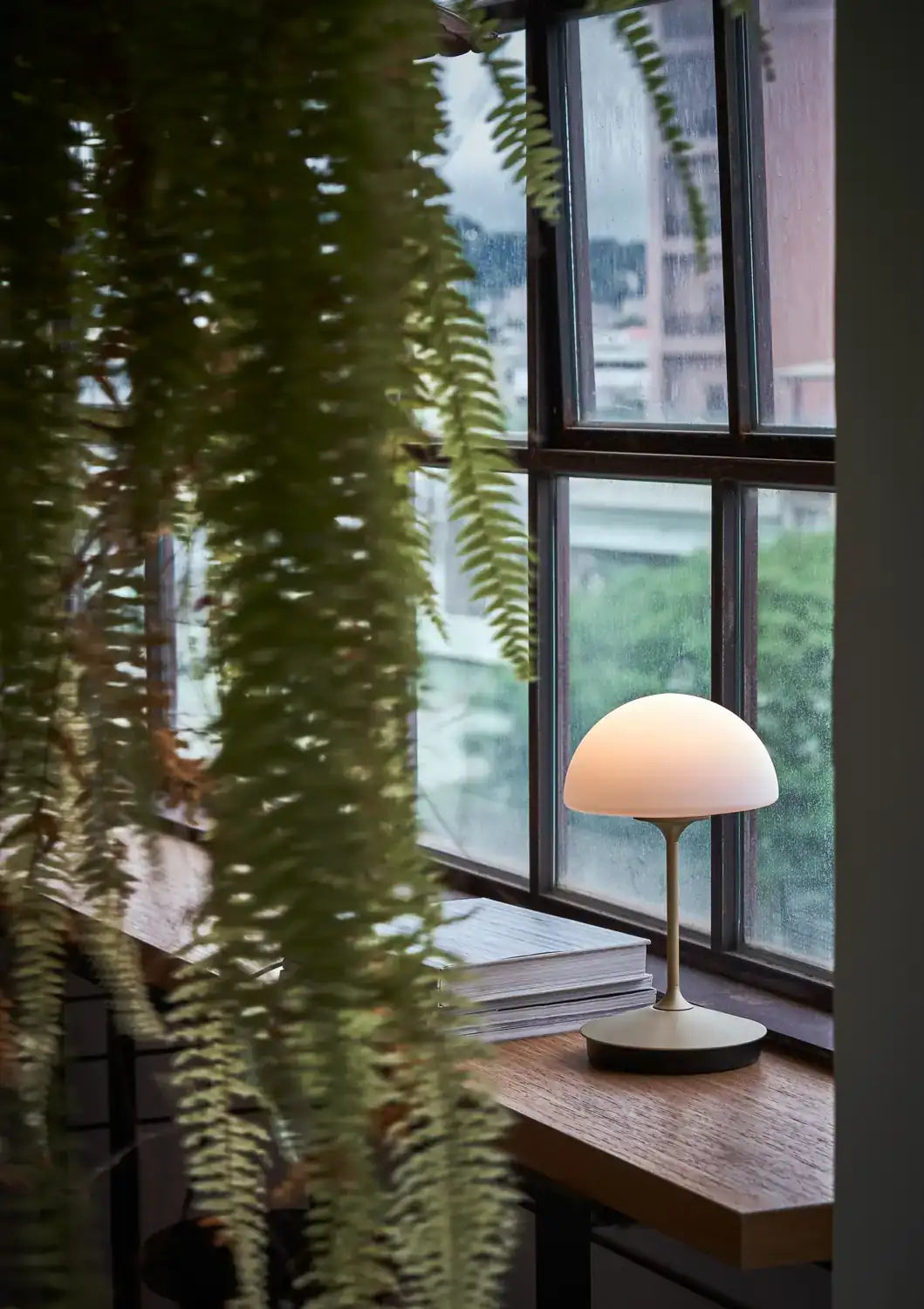 SEED DESIGN USA SLD-7992DJ-GLD 78ad974a-ba84-4cda-9049-3ef35b6945e2