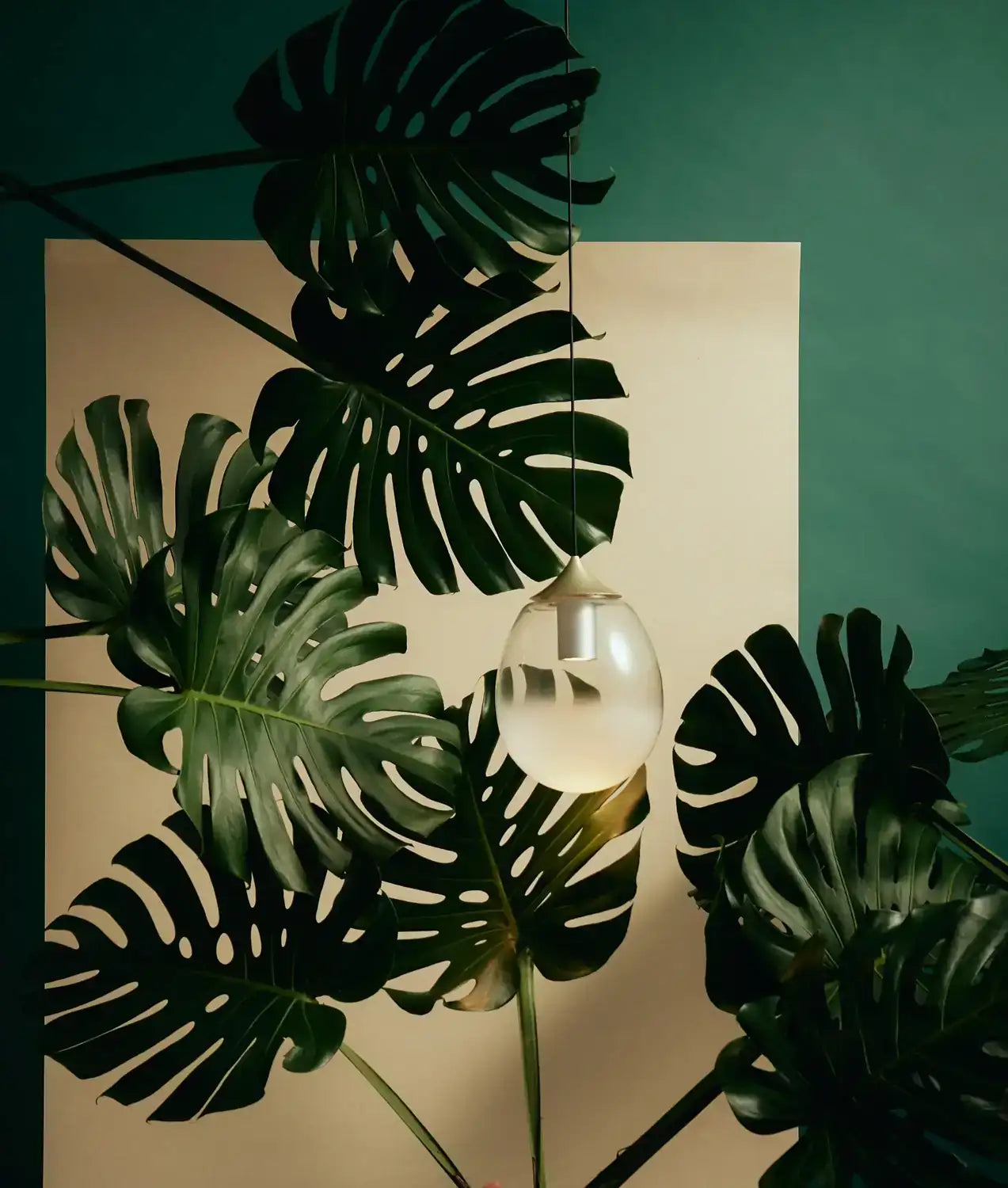 SEED DESIGN USA SLD-8995P-GLD e635c6f9-c1a1-441a-a297-8bc45016878d