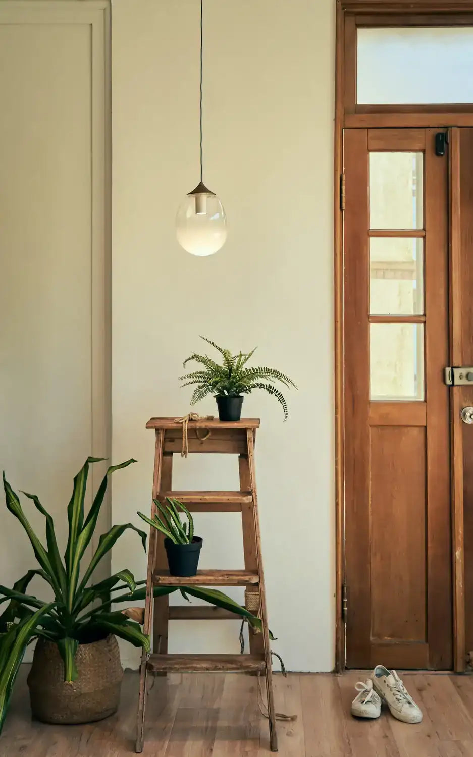 SEED DESIGN USA SLD-8995P-PCO 2f8a9c18-12a3-4220-84b6-05aef4936df5