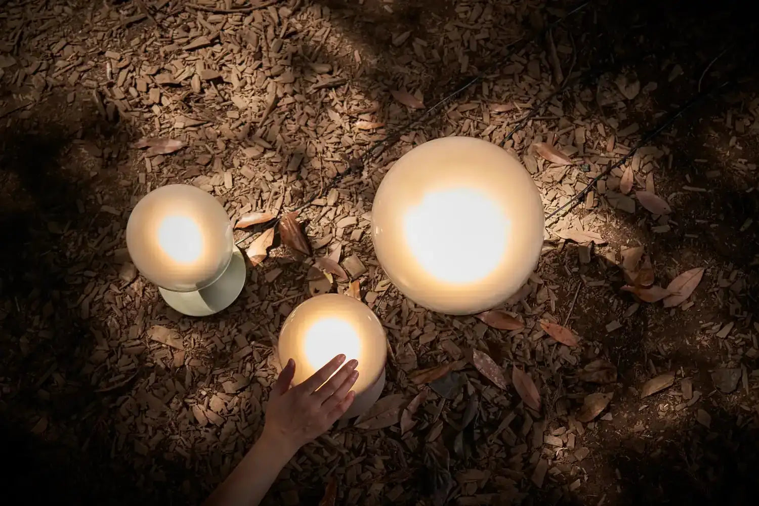 SEED DESIGN USA SLD-8996DJS-GLD 26e508c0-c4d0-428f-af96-e2336f45b5e2