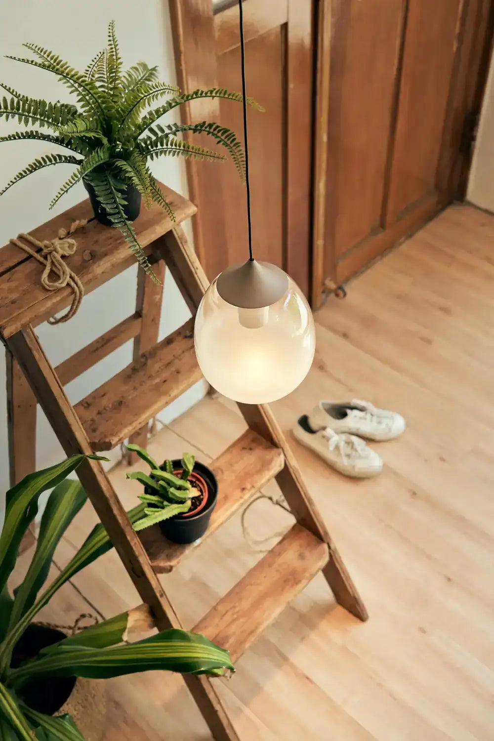 SEED DESIGN USA SLD-8996P-PCO 56299489-4c2d-4d10-a0ef-b2820bfd0e8e