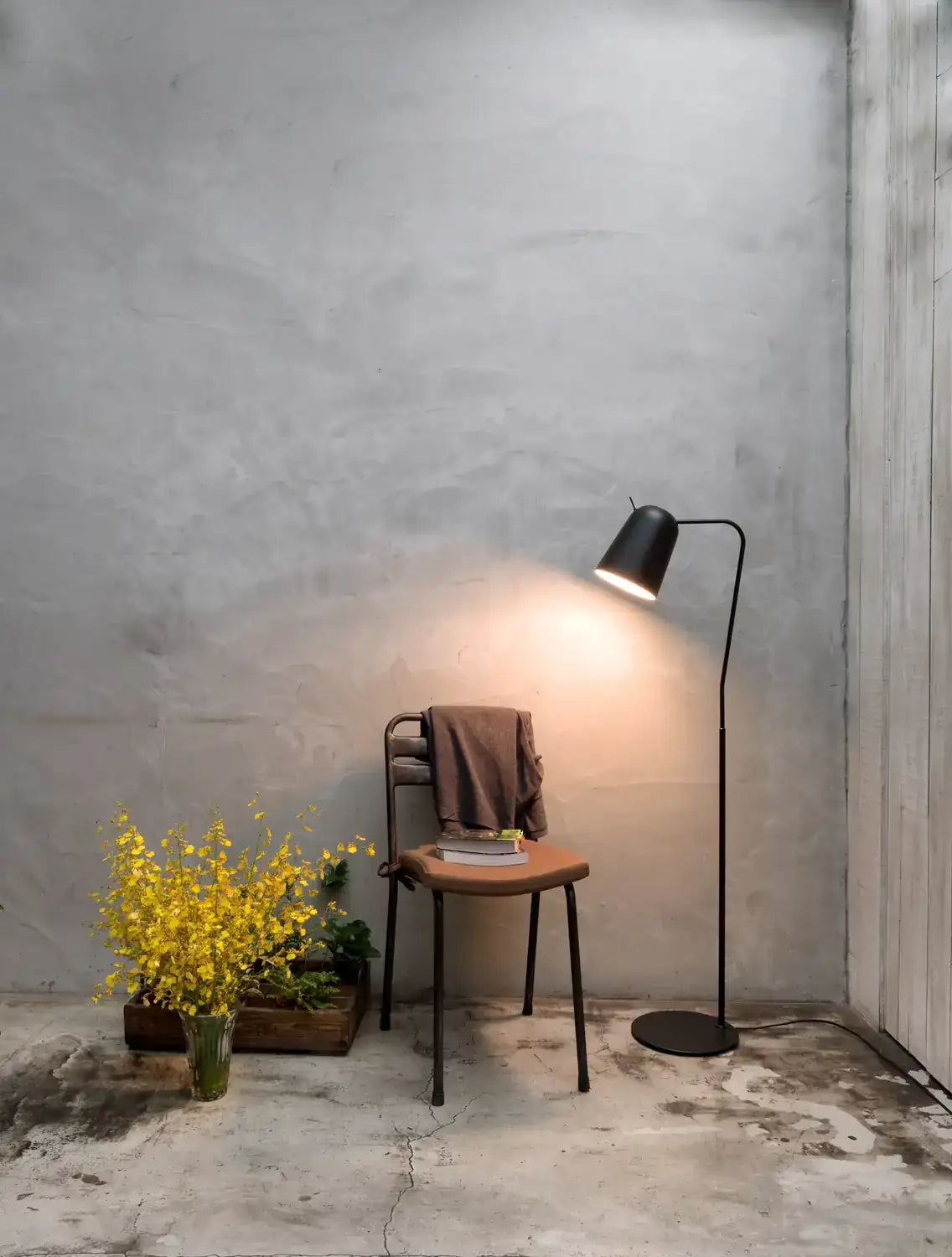 SEED DESIGN USA SQ-218FR-BK 73a2008f-2d2e-4e69-8b7a-21030e1ff59b