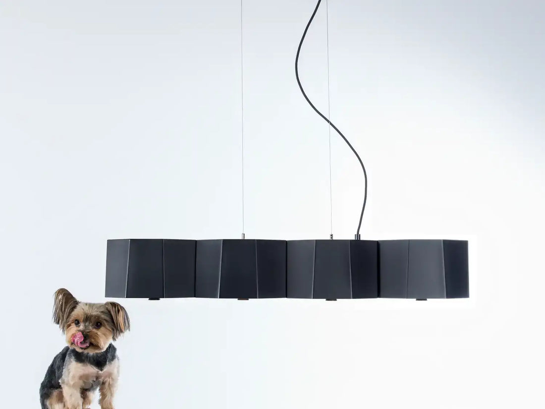 SEED DESIGN, ZHE PENDANT, PENDANT LIGHT