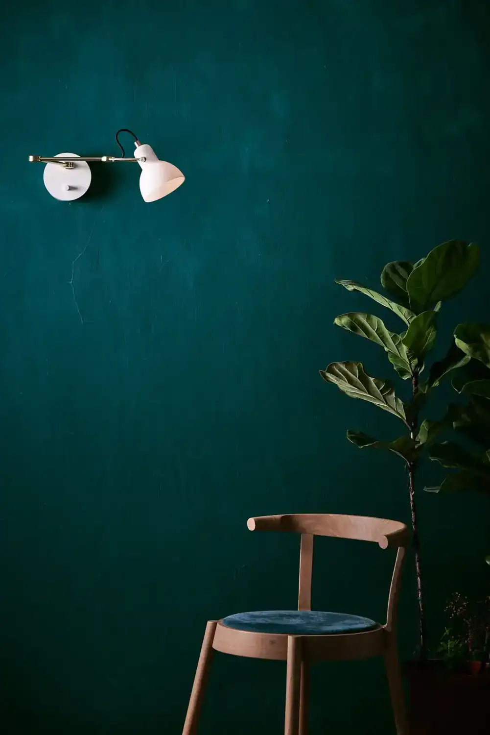 SEED DESIGN USA SQ-793WA-GLS 80f3d1c3-7ad4-4e47-9bae-33556a48d6e8