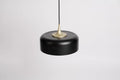 SEED DESIGN, PENSEE L PENDANT, PENDANT LIGHT