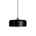 SEED DESIGN, PENSEE L PENDANT, PENDANT LIGHT
