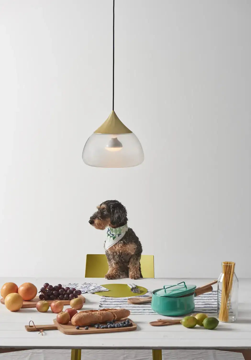 SEED DESIGN USA SQ-8997PL-BRS 3d66dc76-8959-426c-9595-a31017ca165d