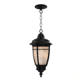 SNOC, PORTLAND - CEILING MOUNT WITH CHAIN SMALL 10255, OUTDOOR CEILING LIGHT