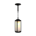 SNOC, SAN DIEGO - CEILING MOUNT WITH CHAIN SMALL 10650, OUTDOOR CEILING LIGHT