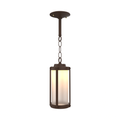 SNOC, SAN DIEGO - CEILING MOUNT WITH CHAIN SMALL 10650, OUTDOOR CEILING LIGHT