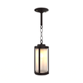 SNOC, SAN DIEGO - CEILING MOUNT WITH CHAIN SMALL 10650, OUTDOOR CEILING LIGHT