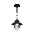 SNOC SAN FRANCISCO - CHAIN CEILING MOUNT WITH GLOBE AND SMALL GRID 12250 - Ceiling