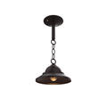 SNOC SAN FRANCISCO - CEILING MOUNT ON CHAIN OPEN BOTTOM SMALL FORMAT 12450 - Ceiling