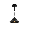 SNOC SAN FRANCISCO - CEILING MOUNT ON CHAIN OPEN BOTTOM SMALL FORMAT 12450 - Ceiling