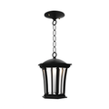 SNOC, WESTMINSTER - CEILING MOUNT WITH CHAIN OPEN BOTTOM SMALL 13550, OUTDOOR CEILING LIGHT