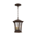 SNOC, WESTMINSTER - CEILING MOUNT WITH CHAIN OPEN BOTTOM SMALL 13550, OUTDOOR CEILING LIGHT