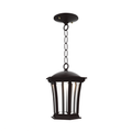 SNOC, WESTMINSTER - CEILING MOUNT WITH CHAIN OPEN BOTTOM SMALL 13550, OUTDOOR CEILING LIGHT