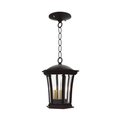 SNOC, WESTMINSTER - CEILING MOUNT WITH CHAIN OPEN BOTTOM SMALL 13550, OUTDOOR CEILING LIGHT