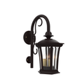 SNOC, WESTMINSTER - WALL MOUNT DOWN WITH CANE OPEN BOTTOM SMALL 13593, OUTDOOR WALL LIGHTS