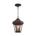 SNOC, OXFORD - CEILING MOUNT WITH CHAIN OPEN BOTTOM SMALL 14850, OUTDOOR CEILING LIGHT