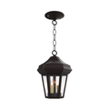 SNOC, OXFORD - CEILING MOUNT WITH CHAIN OPEN BOTTOM SMALL 14850, OUTDOOR CEILING LIGHT
